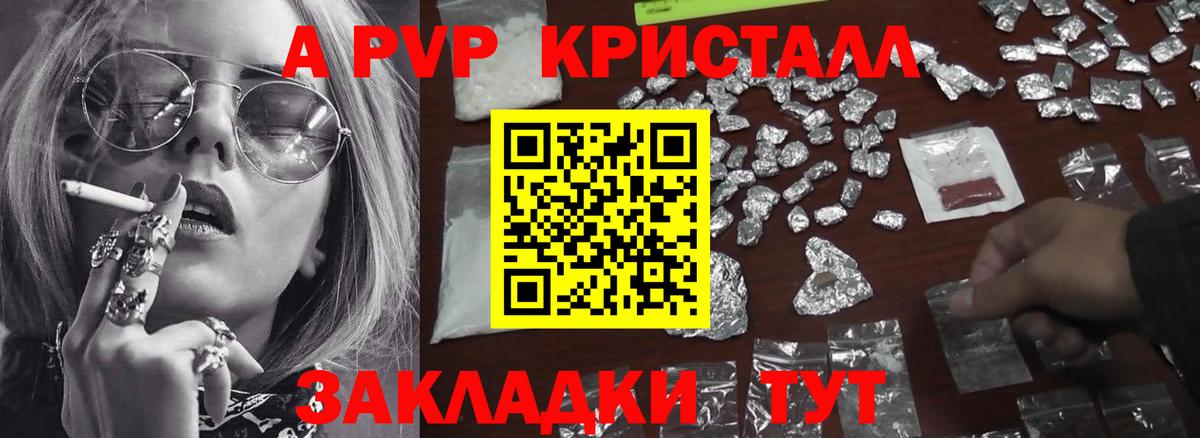 Альфа ПВП СК Киров