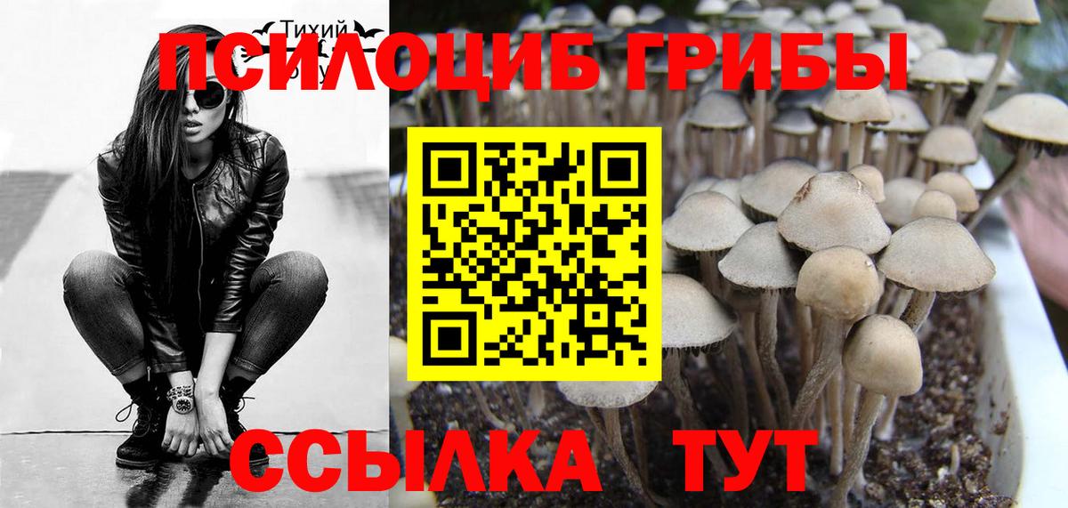 Псилоцибиновые грибы ЛСД Киров