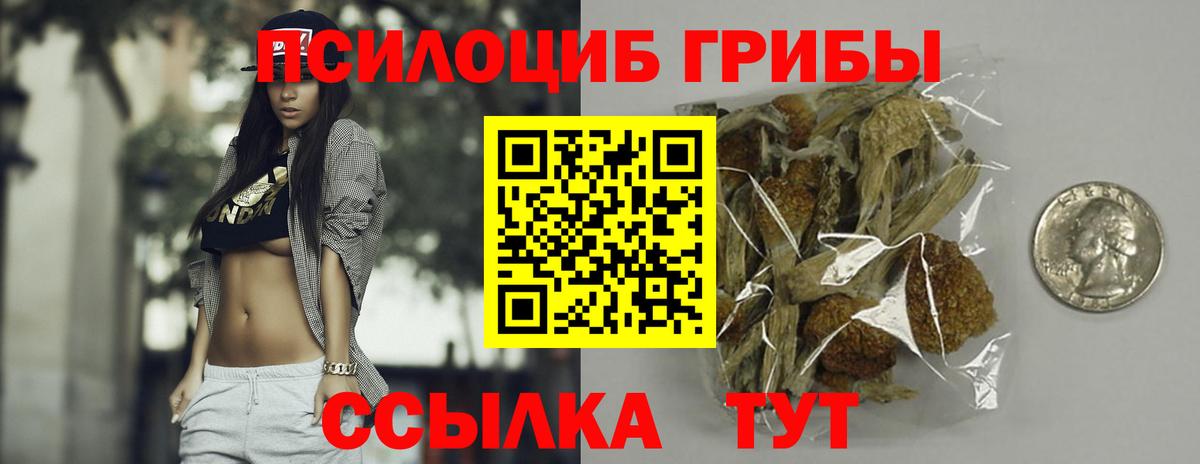 закладки  Вход с VPN  Киров  Псилоцибиновые грибы Psilocybine cubensis 
